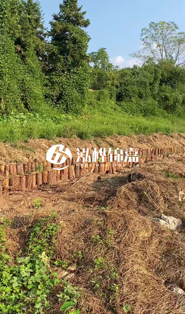 許昌河道清淤專業(yè)施工-河道污水治理要多長(zhǎng)時(shí)間？