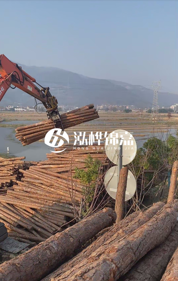 松木樁是否需要削皮呢？松木樁為什么不會爛掉呢？