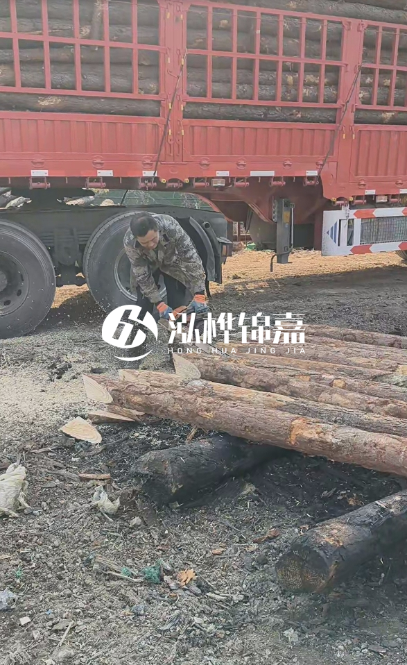 2米松木樁多少錢一根？15-20CM直徑價格是多少？