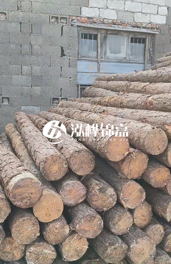 3米松木樁多少錢一根？14公分松木樁價格是多少？