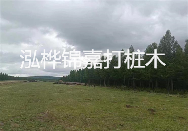 提高效率，壓松木樁施工間隔的關(guān)鍵